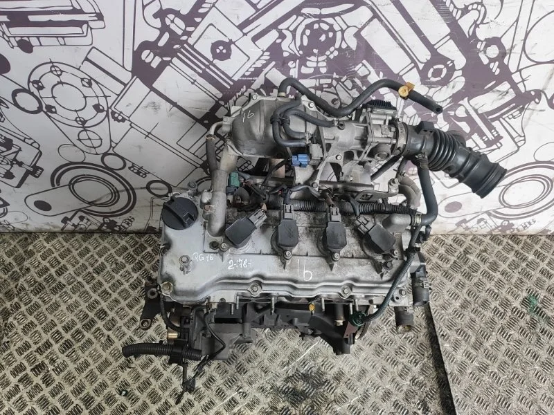 Двигатель Nissan Almera Primera 1010295F0B B10 N16 P12 QG16DE