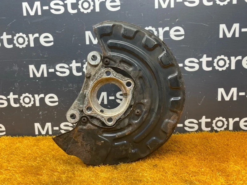 Кулак поворотный Volkswagen Passat CC 2008 B6/358