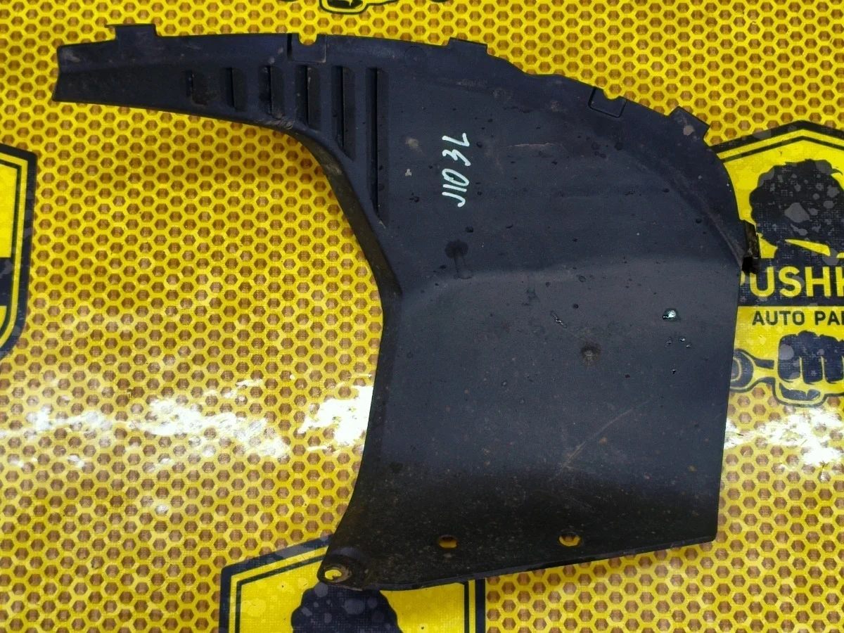 Подкрылок Nissan Qashqai 2008 J10