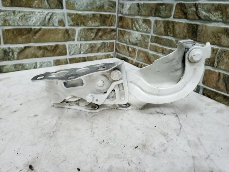 Петля капота BMW X5 2017 F15