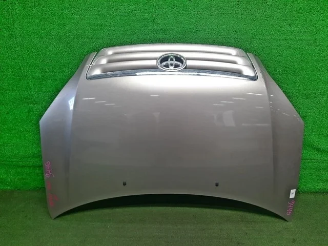Капот (сколы) ACM21 TOYOTA IPSUM M20 2001-2003, PICNIC XM20 2001-2003