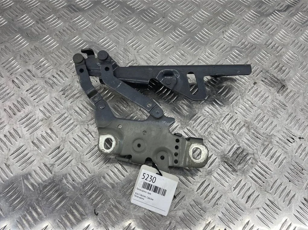 Петля капота BMW 3 - series F30