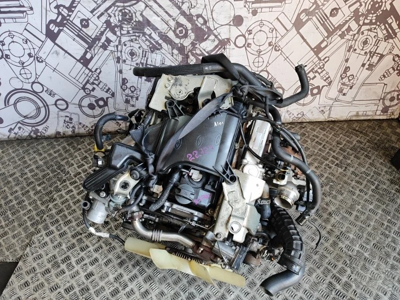 Двигатель Nissan Pathfinder 14-10 101025X00A R51 YD25 DDTI