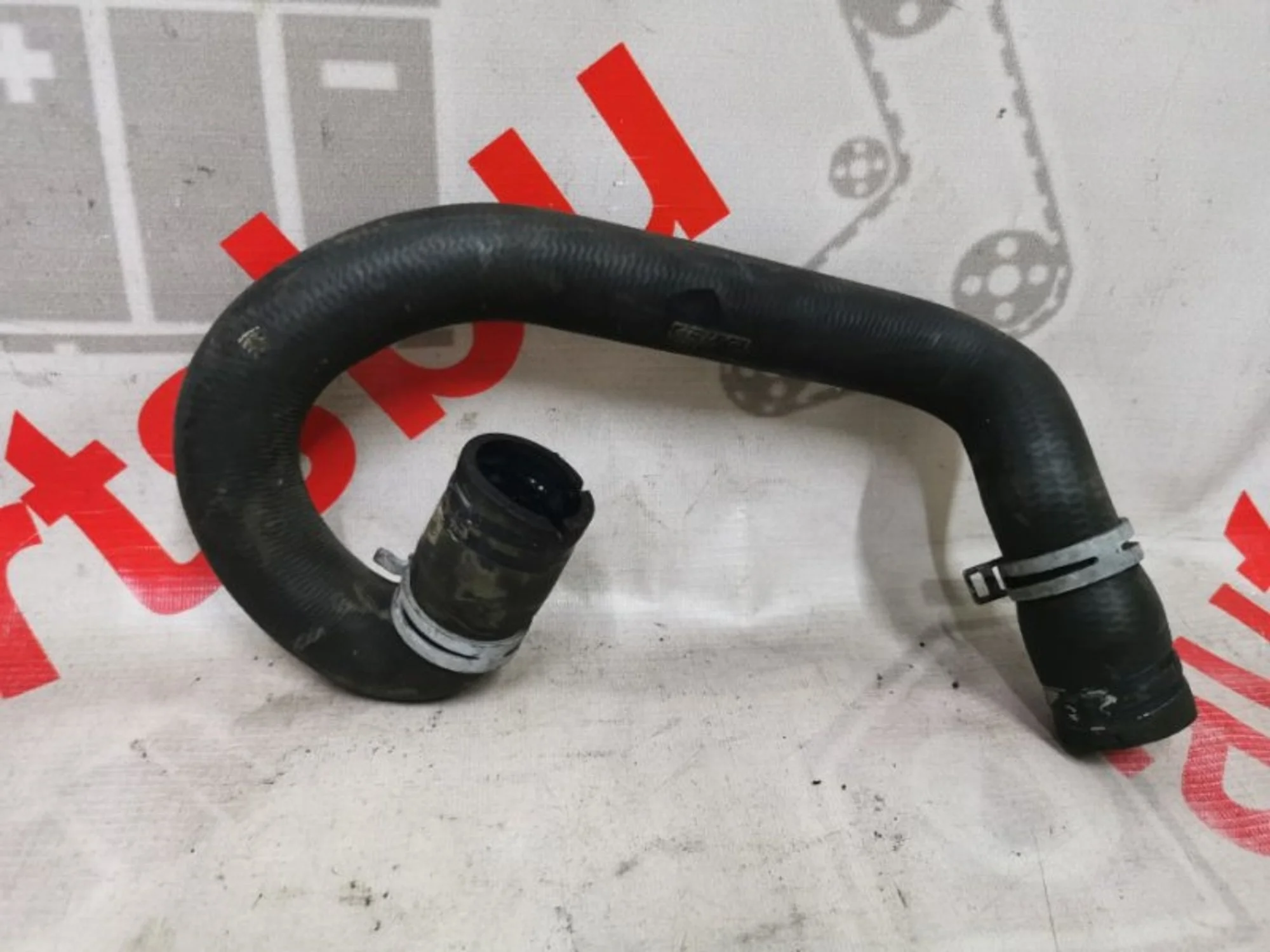 Патрубок радиатора нижний. Ford Focus 2 1384148, правый