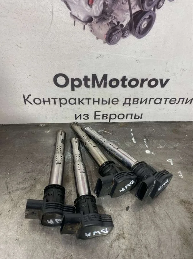 катушка зажигания Volkswagen Passat   2007