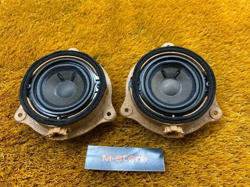 Динамик Audi A6 2006 C6/4F