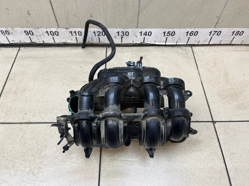 Коллектор впускной Ford Focus 2011 1807950 3 1.6 PNDA