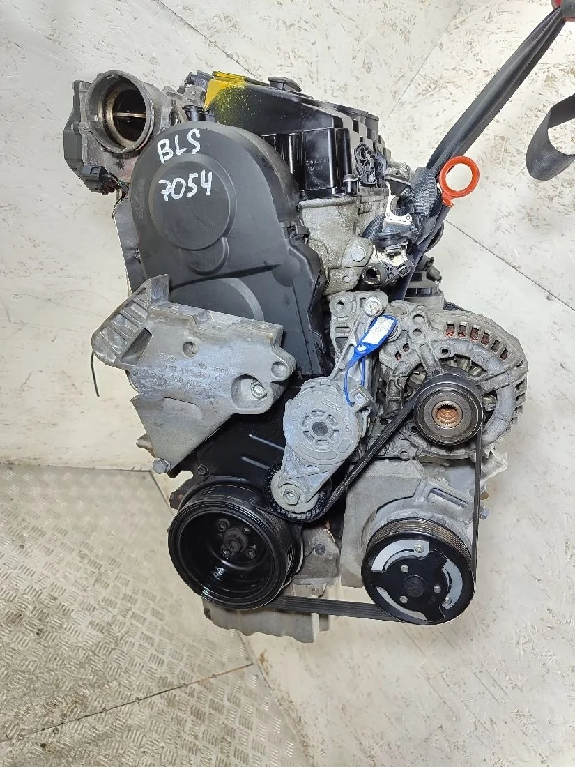 Двигатель BLS Audi A3 8P (S3,RS3) 1.9 Дизель