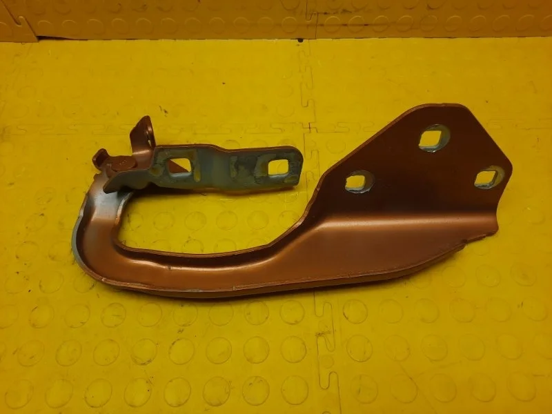 Петля капота Renault Duster 2021 654019784R HJD H4MG446P002512, левая