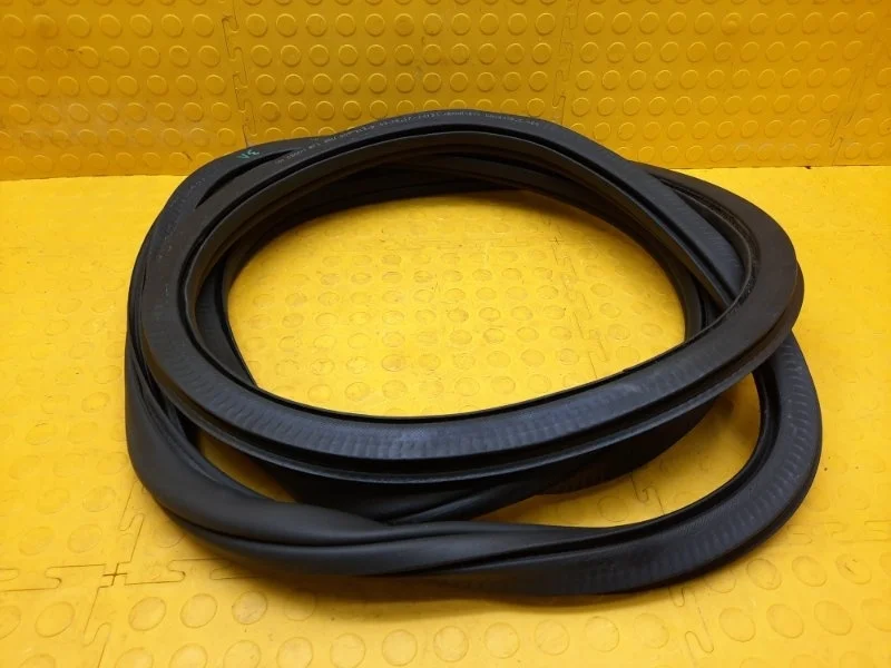 Уплотнитель двери Volkswagen Polo 2017 6RU867913C 6C1 CWVA, задний левый