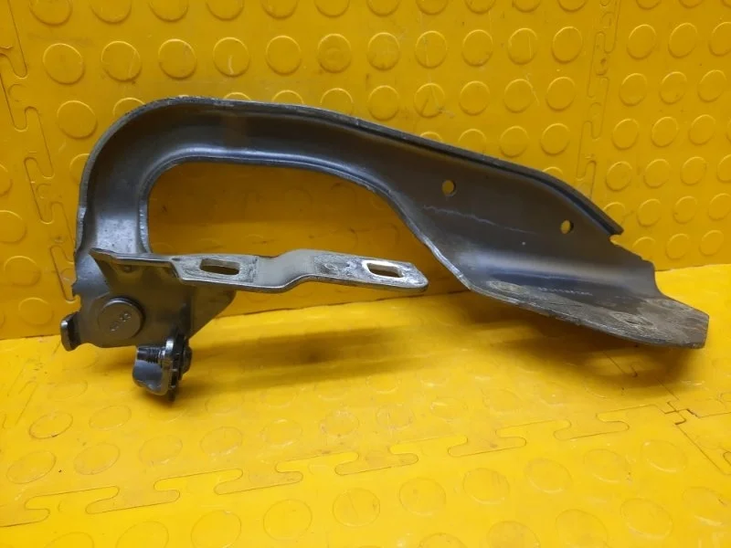 Петля капота Renault Duster 2021 654006928R HJD H5HA460D, правая