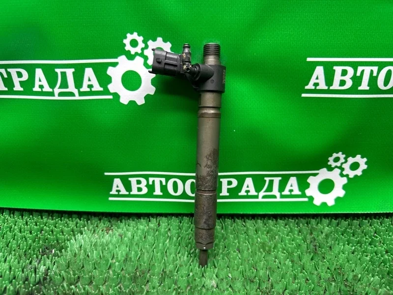 Форсунка топливная Land Rover Evoque 2011-2016 9687454480 224DT