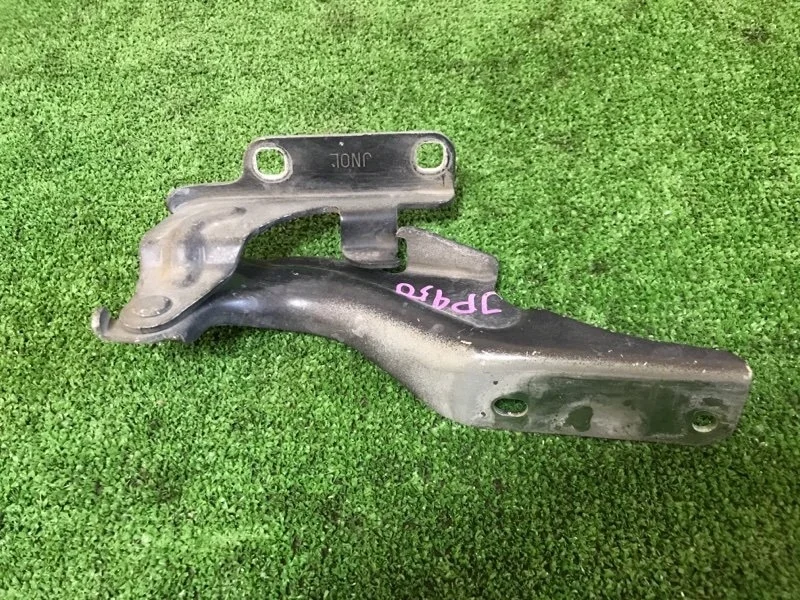 Петля капота Nissan Teana 65400JN00A J32, левая