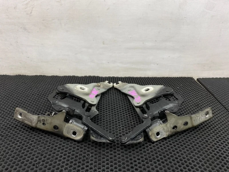 Петли капота Bmw X5 2007 7148348 E70 N52B30AF 3.0