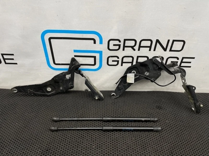 Петли капота Bmw X5 2009 7208627 E70 N52B30AF 3.0