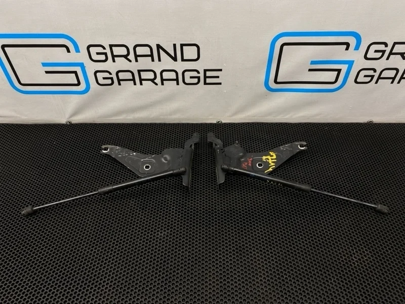 Петли капота Bmw X5 2009 7208627 E70 N52B30AF 3.0