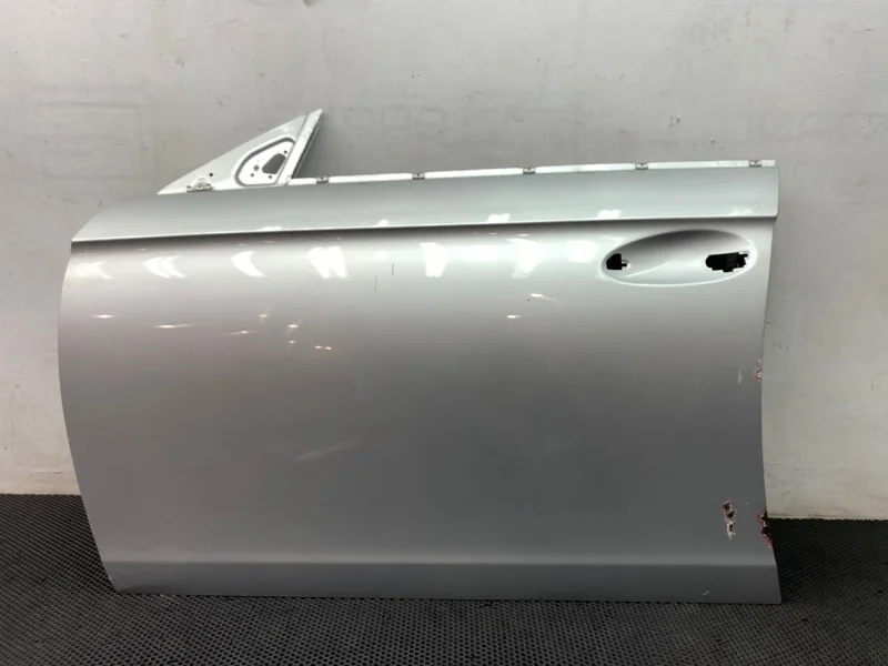 Дверь Mercedes-Benz Cls-Class 2197200105 W219, передняя левая