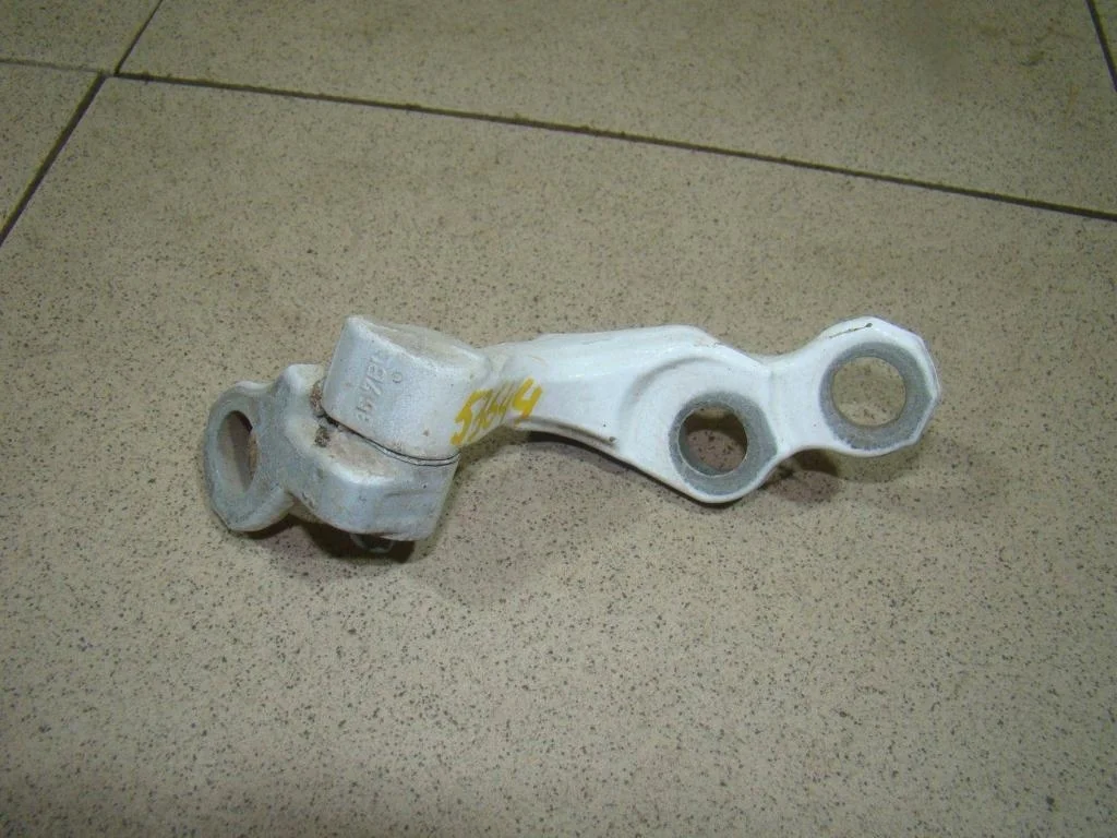 Петля двери задней левой нижняя Ford Focus 2