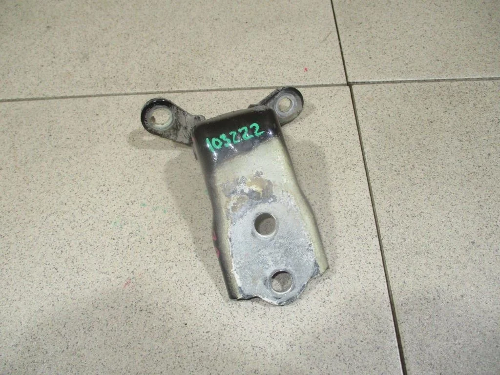 Петля двери передней Chevrolet Captiva 2007 (C100)