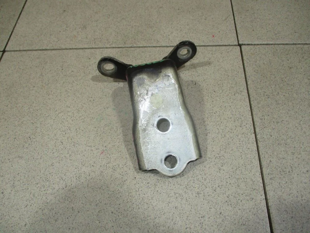 Петля двери передней Chevrolet Captiva 2007 (C100)