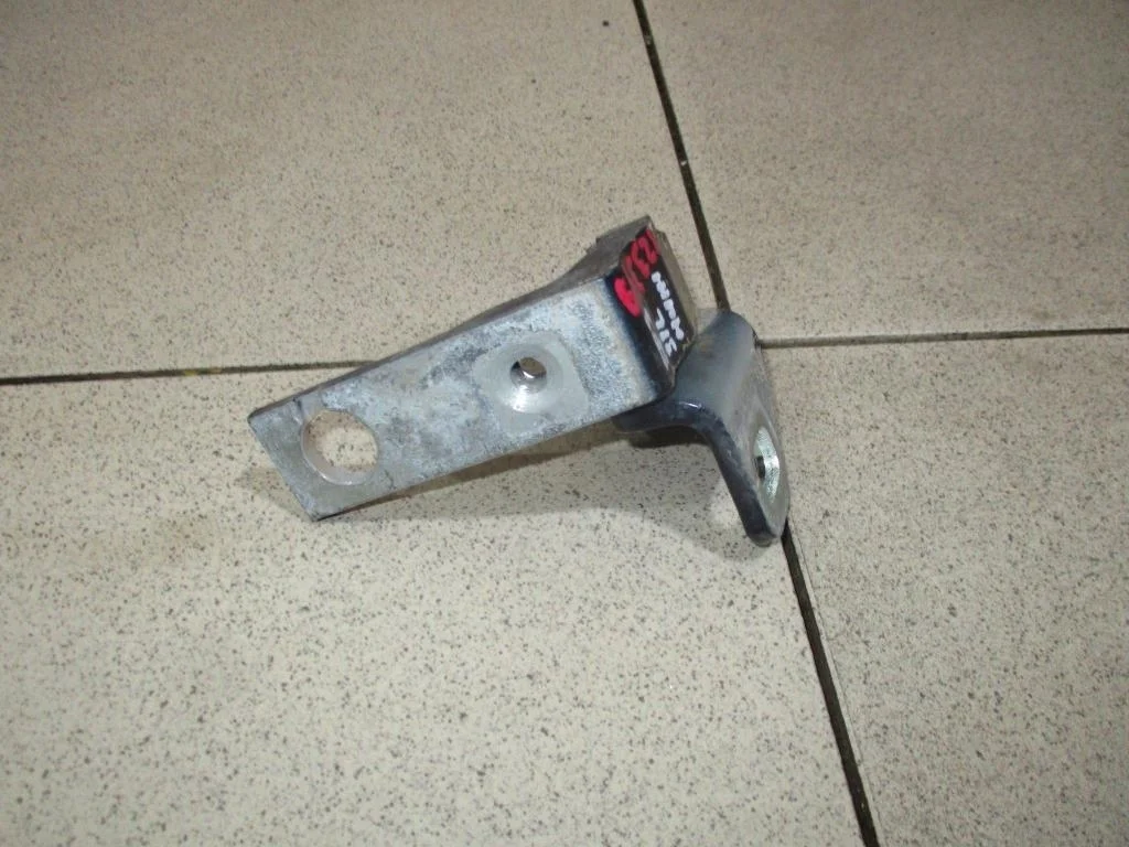 Петля двери задней левой нижняя Ford Focus 3