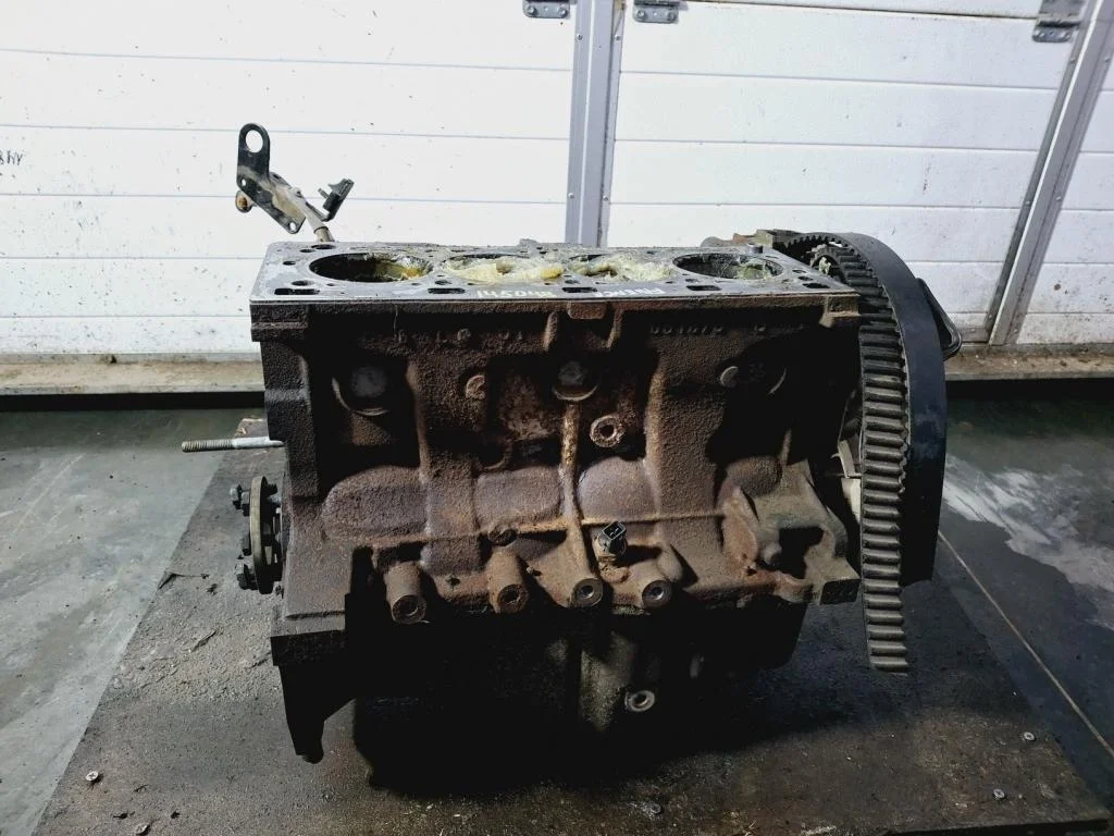 Блок двигателя Renault Fluence