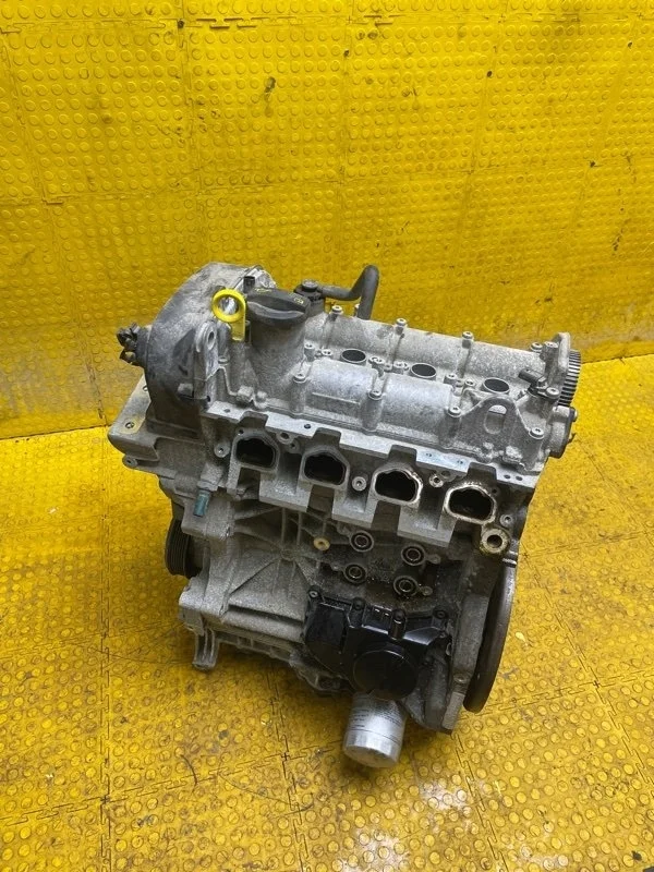 Двигатель Volkswagen Polo 2017 04E100037C 6C1 CWVA