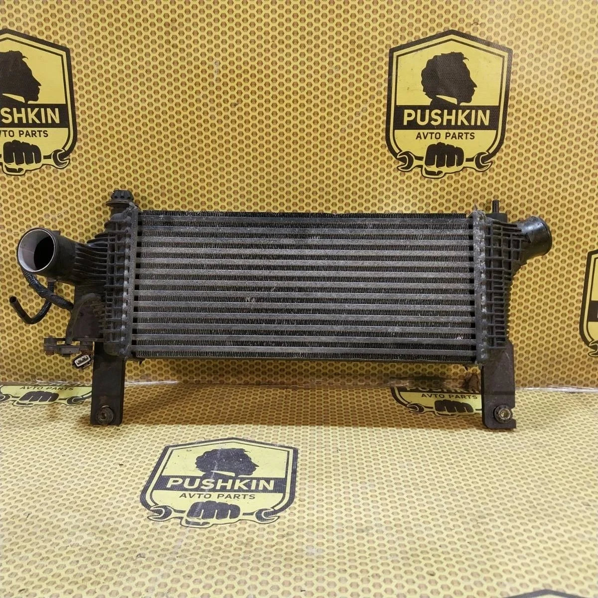 Радиатор интеркулера Nissan Pathfinder 2009 144615X00A R51M YD25