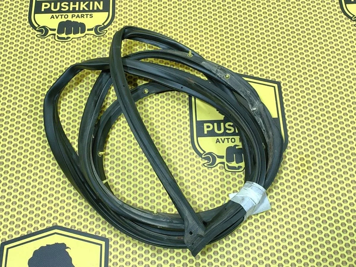 Уплотнитель на дверь Nissan X-Trail 2008 80831JG000 T31 QR25DE, передний левый