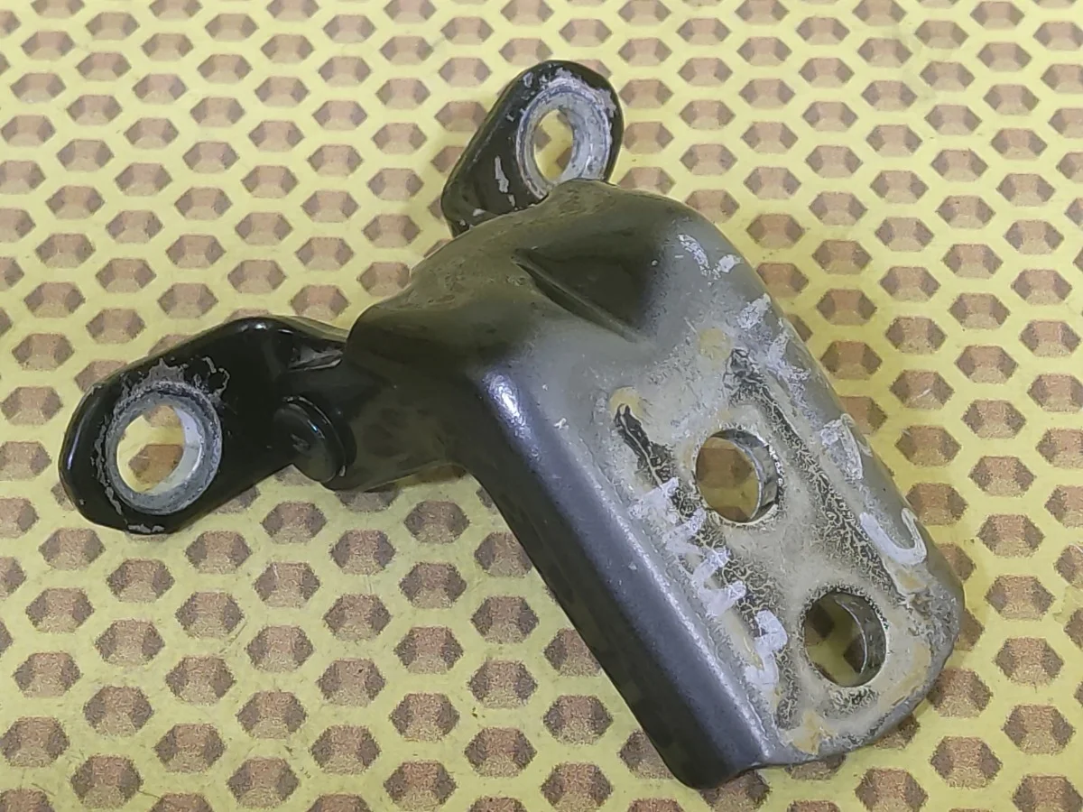Петля двери задняя нижняя Nissan Qashqai 2008 824212F030 J10E K9K, правая