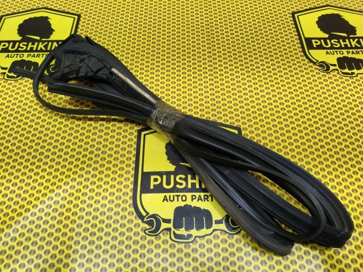 Уплотнитель на дверь Nissan Pathfinder 2006 82830EB300 R51 VQ40DE, задний правый