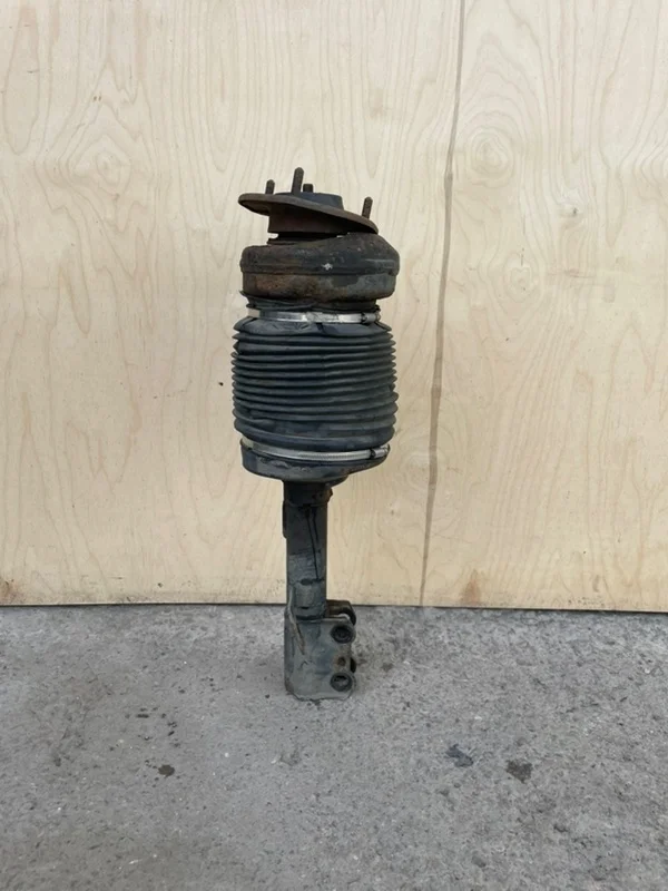 Пневмостойка Lexus RX2