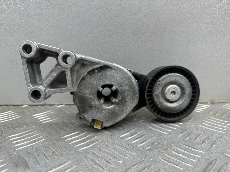 Натяжитель Volkswagen Passat B6