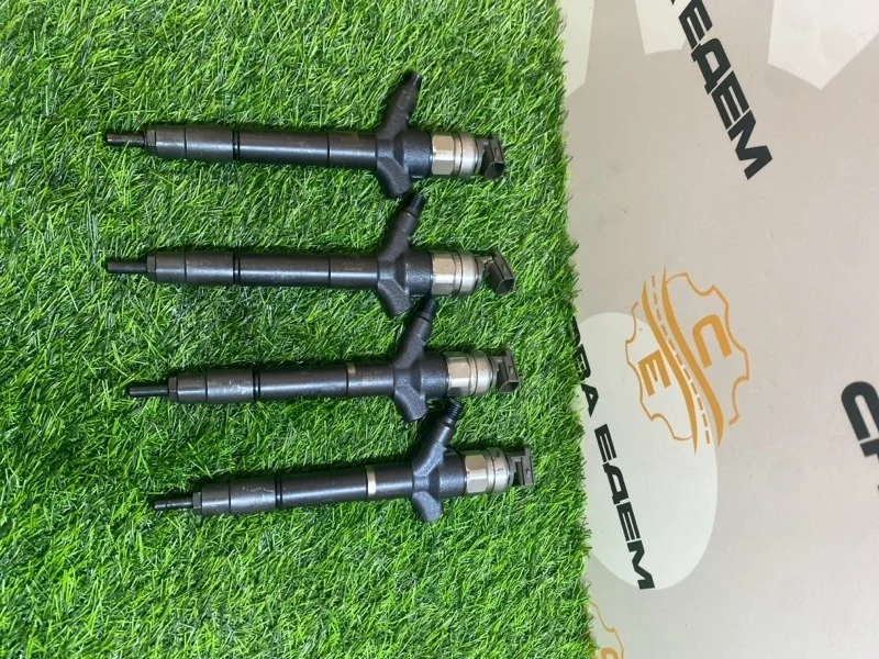 Форсунка топливная Mitsubishi Pajero Sport 2004 1465А257 2 4D56