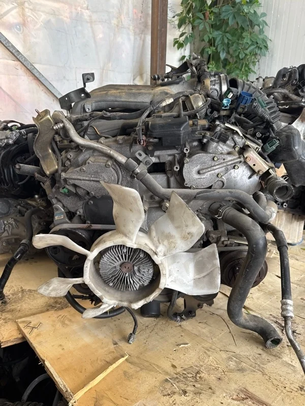 Двигатель Nissan Elgrand E51 VQ35DE 3.5