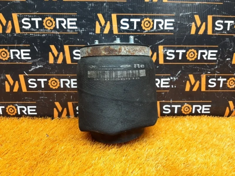 Пневмоподушка Bmw X5 2005 37121095580 E53 M54B30 (306S3), задняя правая