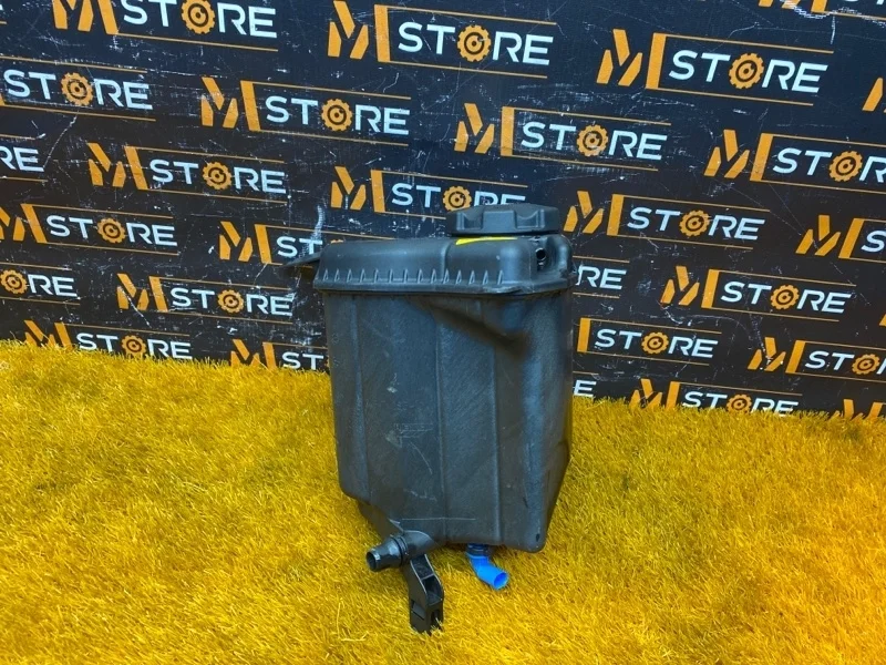 Бачок расширительный Bmw 7-Series 2013 17137647283 F01 N55B30A