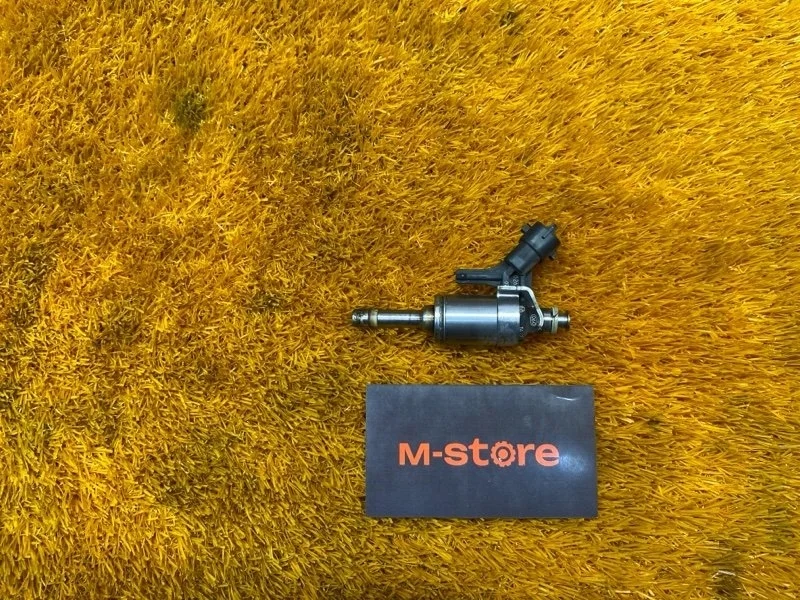 Форсунка топливная Bmw 1-Series 2014 7591623 F20 N13B16A