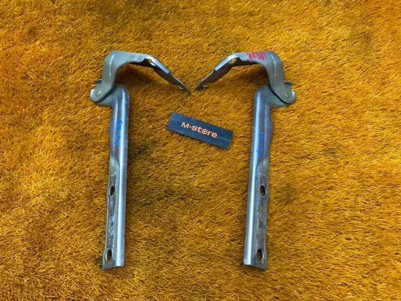 Петля капота Volkswagen Tiguan 2009 5N0823301A 5N CAWB