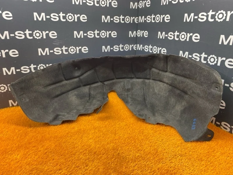 Подкрылок Volkswagen Tiguan 2009 5N0810971 5N CAWB, задний левый