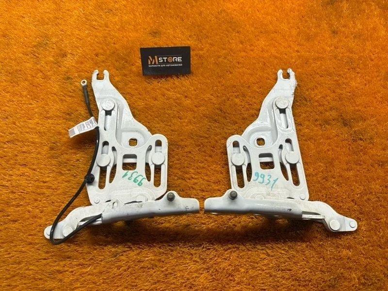 Петля капота Bmw X5 2013 7148348 E70 N63B44A