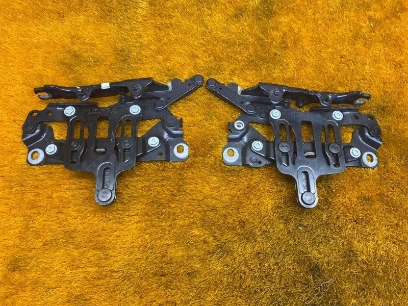 Петля капота Bmw 5-Series 2011 41617207199 F10 N52B25A