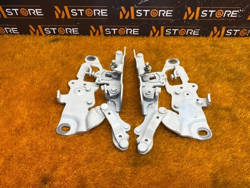 Петля капота Bmw 5-Series 2012 7249888 F10 N20B20B