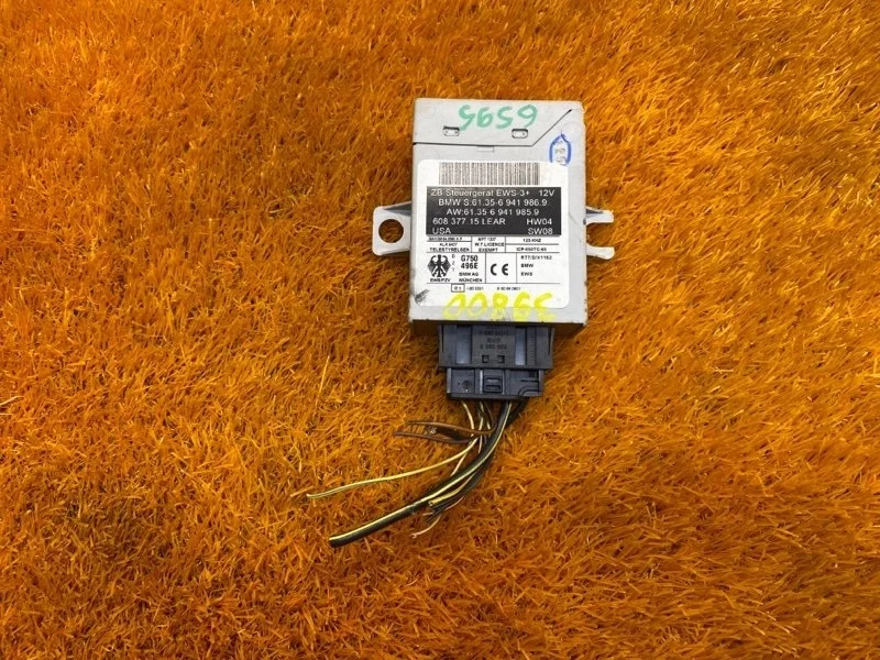 Блок иммобилайзера Bmw X5 2005 61356941986 E53 M54B30 (306S3)