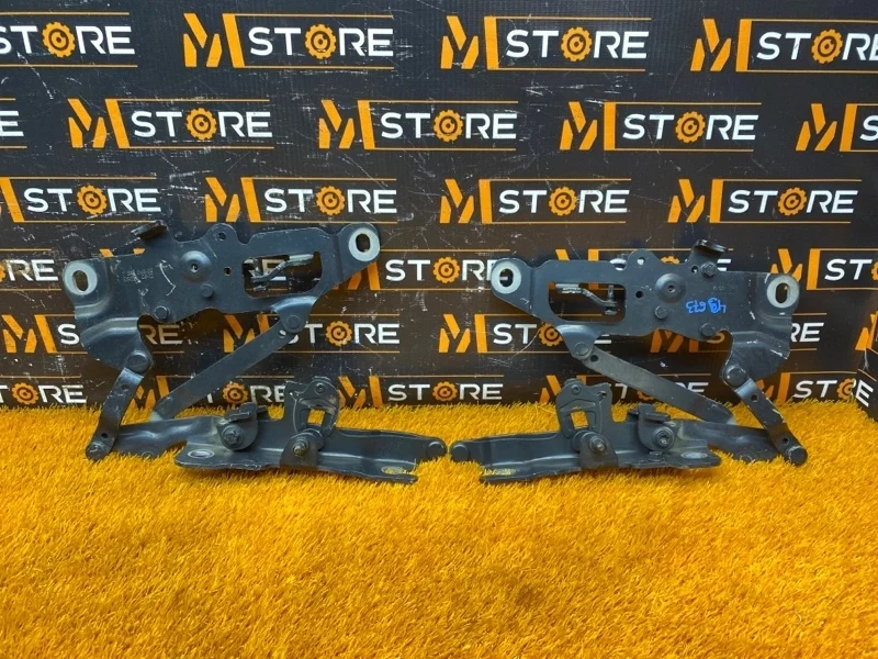 Петля капота Bmw 5-Series 2012 7249887 F10 N47D20C