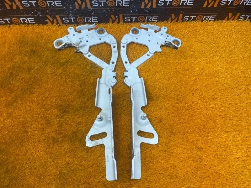 Петля капота Bmw 1-Series 2014 7336699 F20 N13B16A