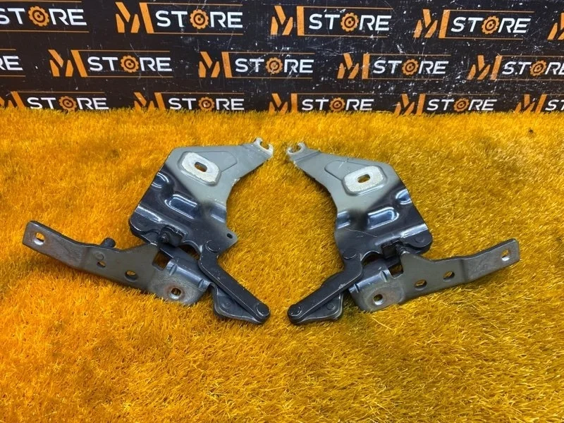 Петля капота Bmw X5 2009 7208628 E70 N52B30A