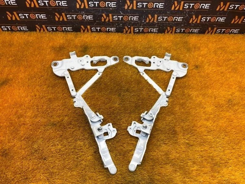 Петля капота Bmw 5-Series 2014 7249887 F10 N20B20A