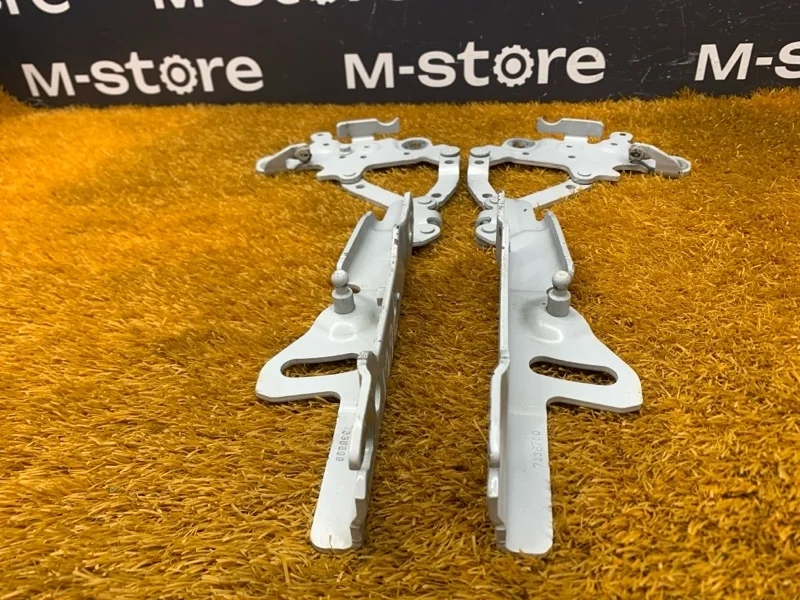 Петля капота Bmw 3-Series 2014 7336699 F30 N20B20B