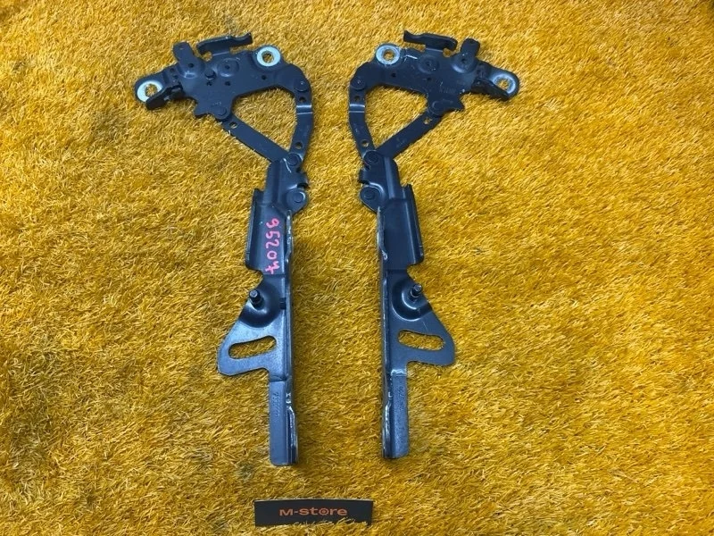 Петля капота Bmw 3-Series 2013 7336700 F30 N20B20B